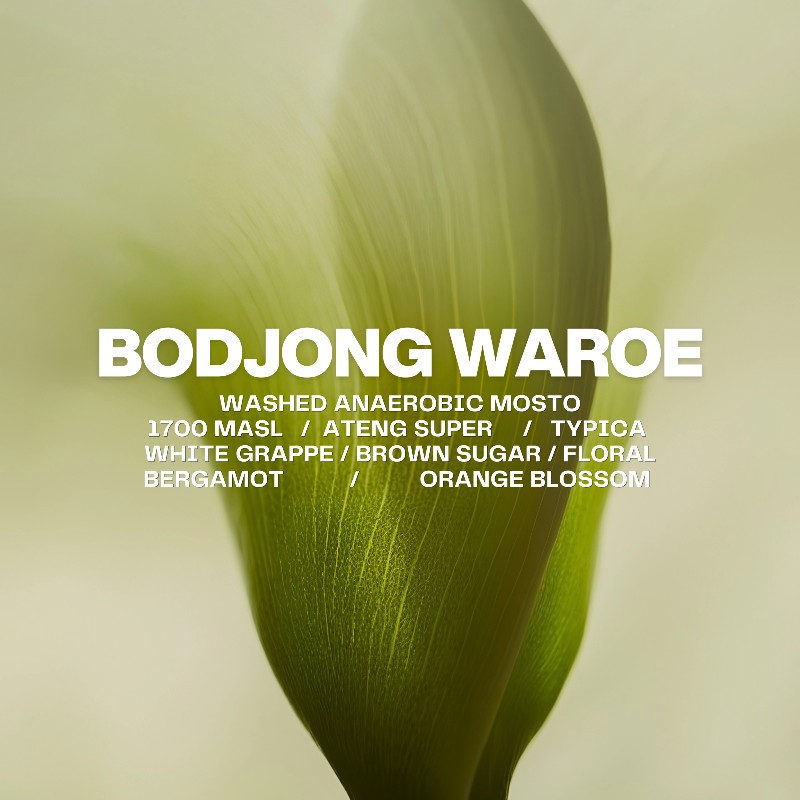 Bodjong waroe